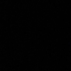 Meet your Posher, Calvin